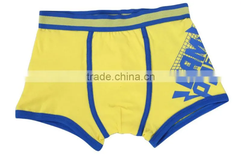 Colorful Boys Boxer Boys Fashion Underwear Teen Boy