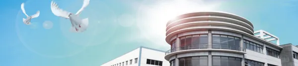Hangzhou Hengli Metal Processing Co., Ltd company overview - view 1