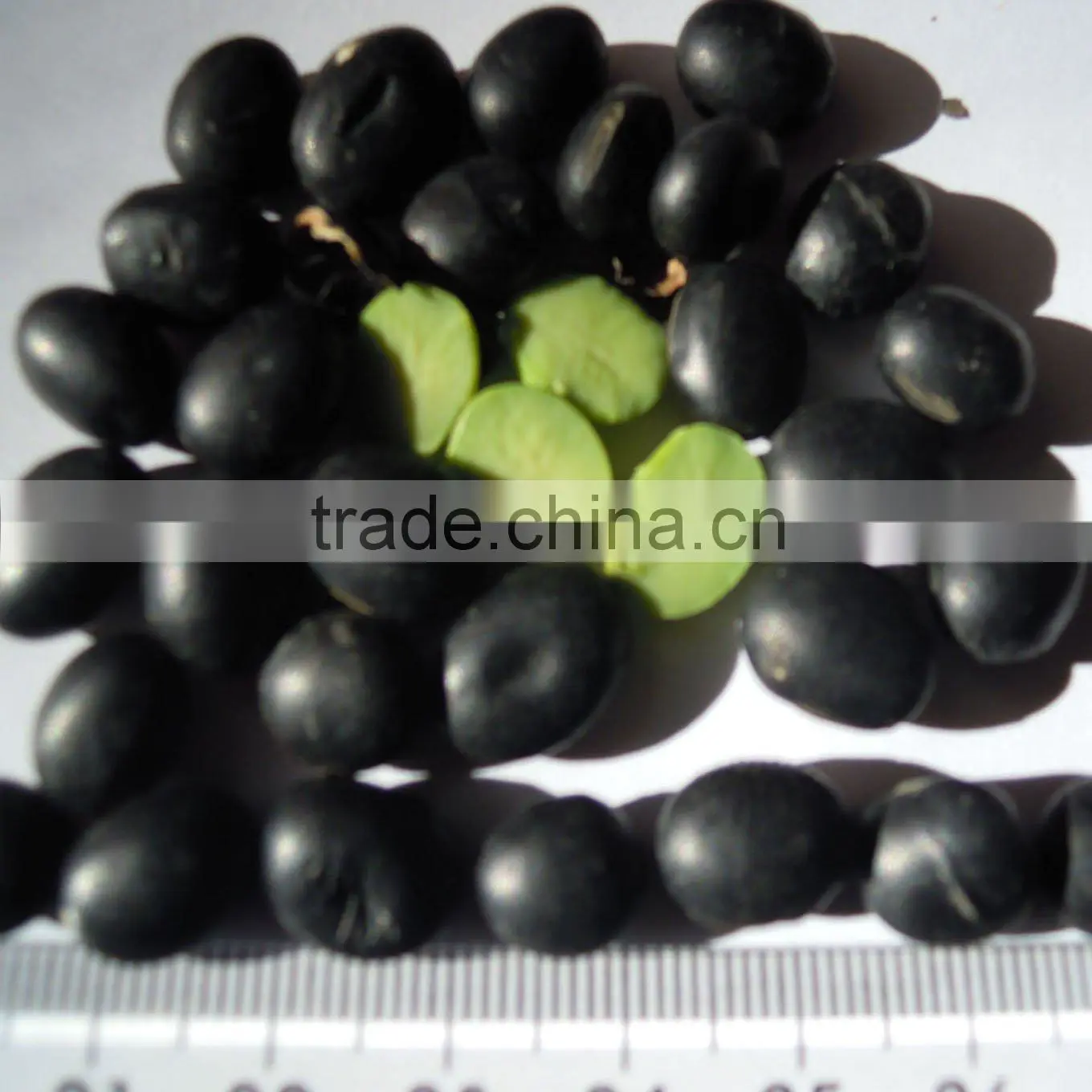 organic black bean green kernel