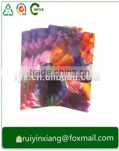 Offset Printing Printing Type and Plastic Product Material a4 file folder