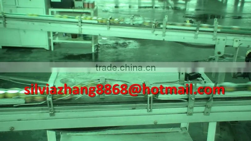 tomato paste bean corn can production line