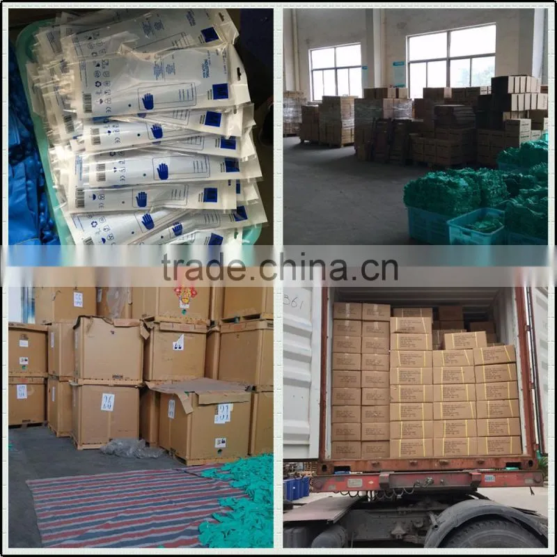 Light Blue Long Gloves Waterproof for Food industry