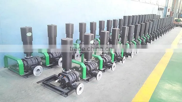 LRB low pressure roots blower