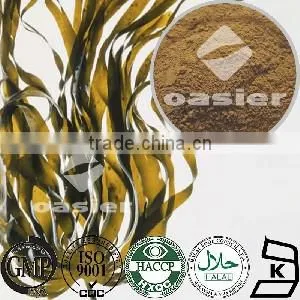 Chinese Natural Vegetable Extract Kelp Fucus Extract 0.1-0.3% iodine powder Cancer Prevention