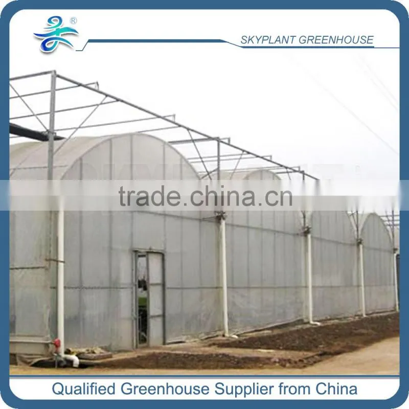 PE Film Plastic Horticultural Green house