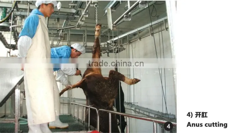 Hot sale cattle slaughter line bloodletting converying line