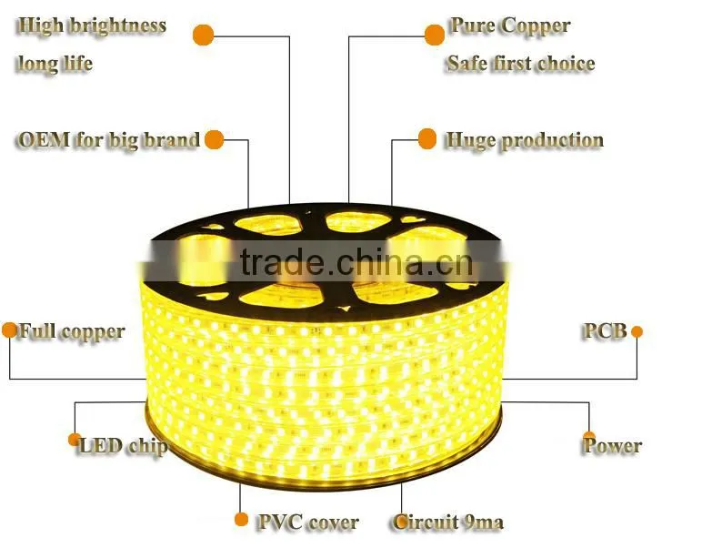 5050 RGB SMD 230V 220V 110V flexible led light strip,high voltage led strip light