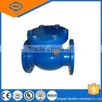 Full bore swing check valve