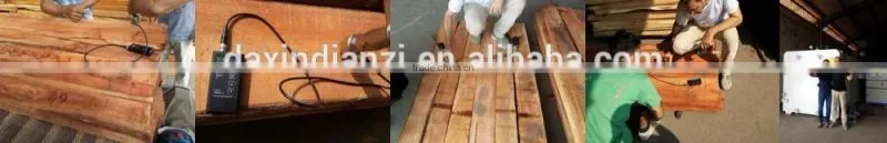 DX-12.0III-DX China Best Enegry Saving Softwood and Hardwood Lumber Dry kiln