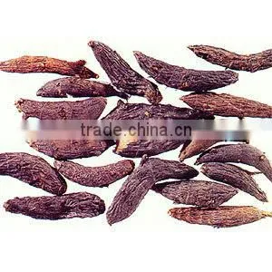 100% Pure Nagarmotha Oil From India | Nagarmotha Oil For Sale