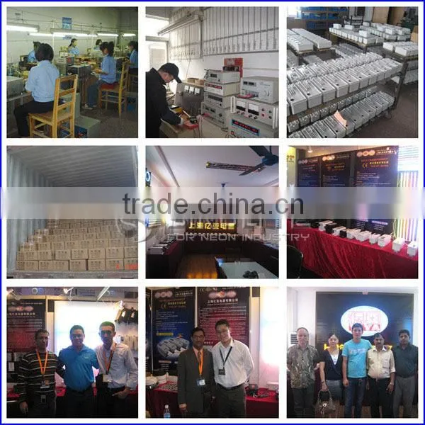 Sinolite Cold Cathode Neon Tube Light