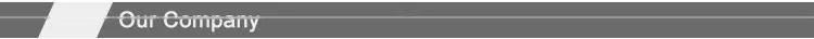 NGT00 RS711B HLS00 fast acting fuse