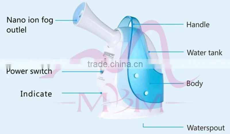 home designs nano handy mist with skin steamers