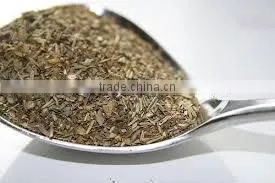 Thyme Oil