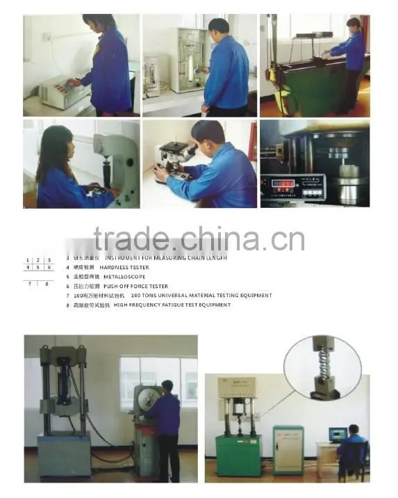 roller chain and bushing chain