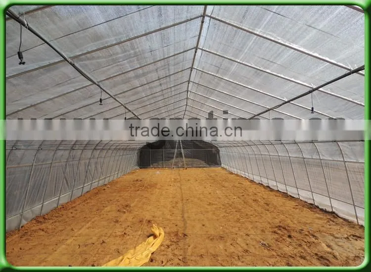 Mushrooms Greenhouse for agriculture farming