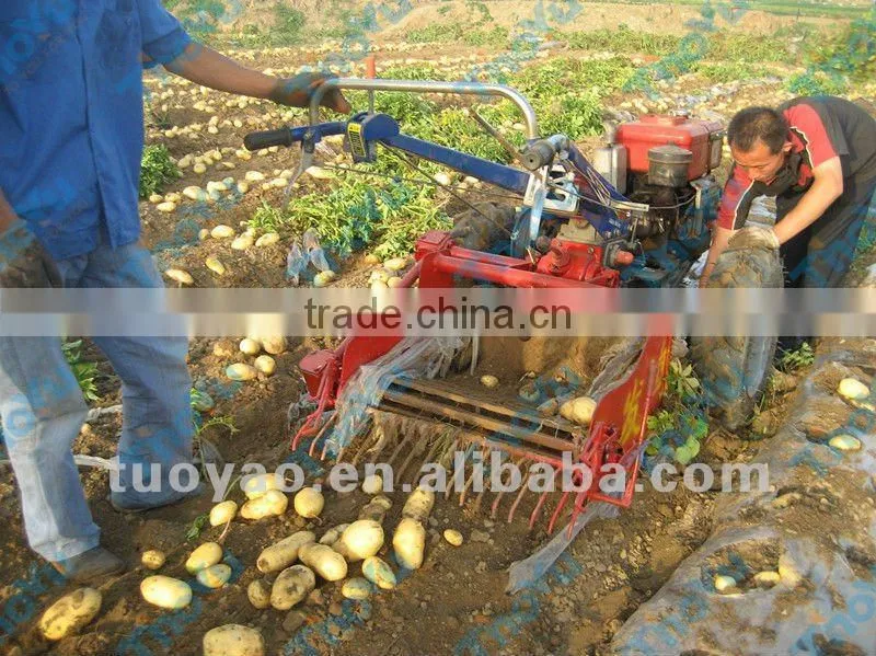 Thoyu advanced large and small 4U series potatoes harvester
