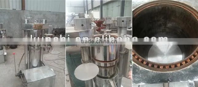 Best quality edible oil expeller popular all over the world