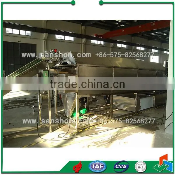 China Tomato Washing Machine Vegetable Washing Machine