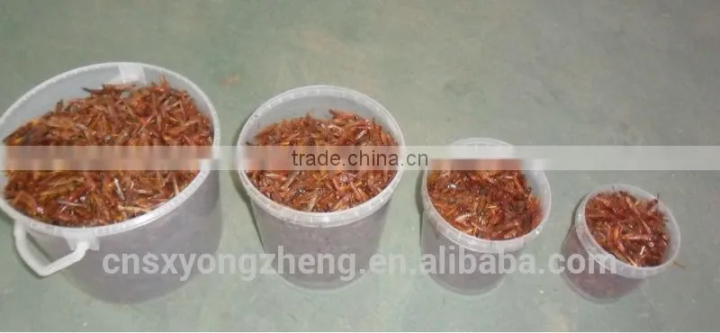 Freeze Dried locusts For Wild Bird & Pet Fish Food