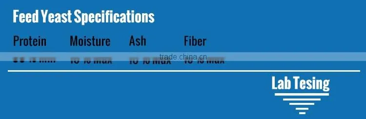 Feed Yeast Factory For 55, 60,65 Protein