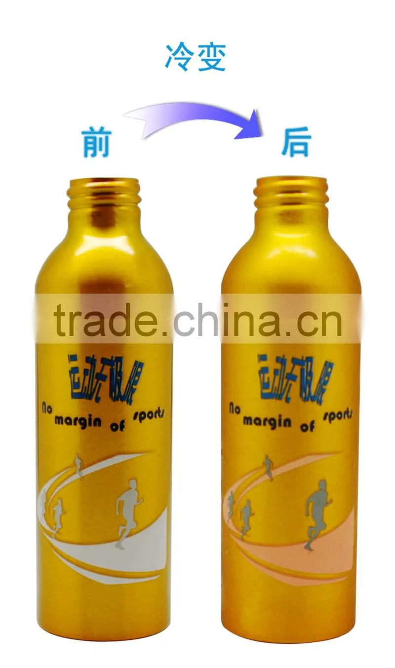 Stainless steel sport bottles for Dad's gift