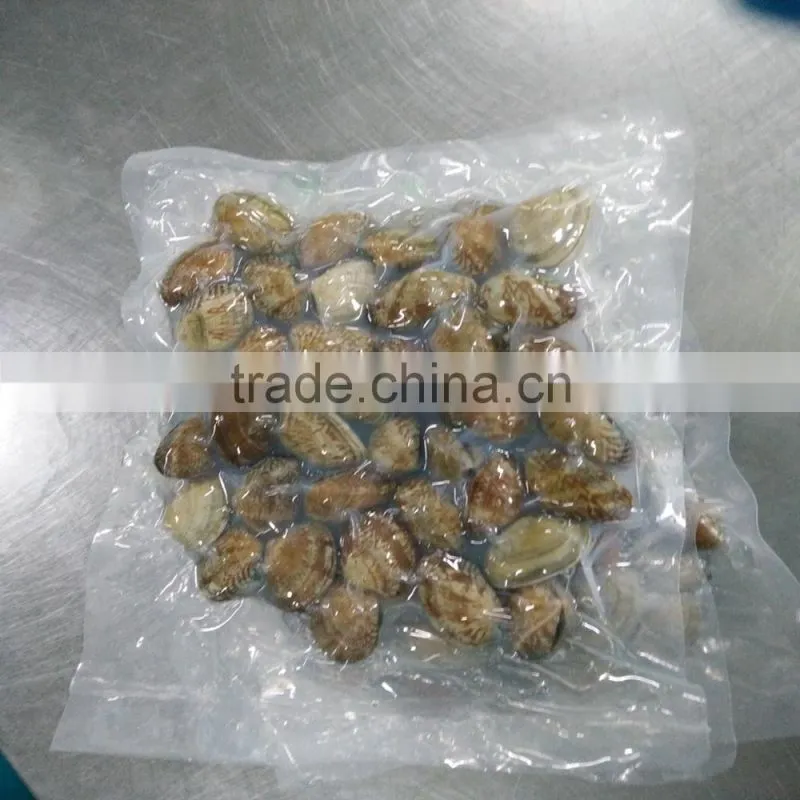Top Quality Clams With Shell for Sale