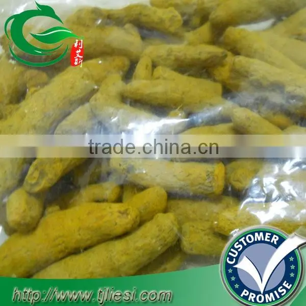 supply tumeric powder with low price