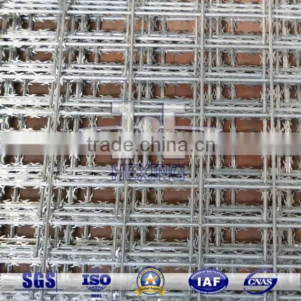 Hot Dipped Galvanized Welded Flat Razor Wire Fence