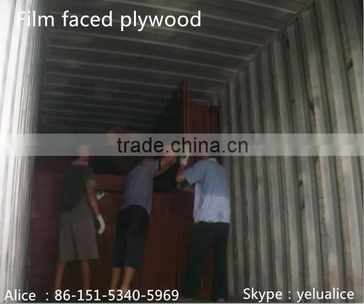 finger-joint marine plywood /film faced plywood