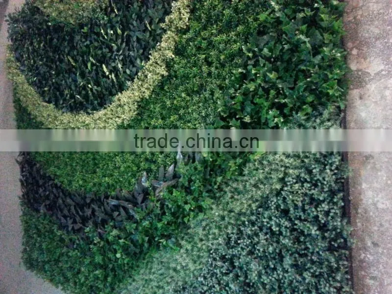 Garden green wall