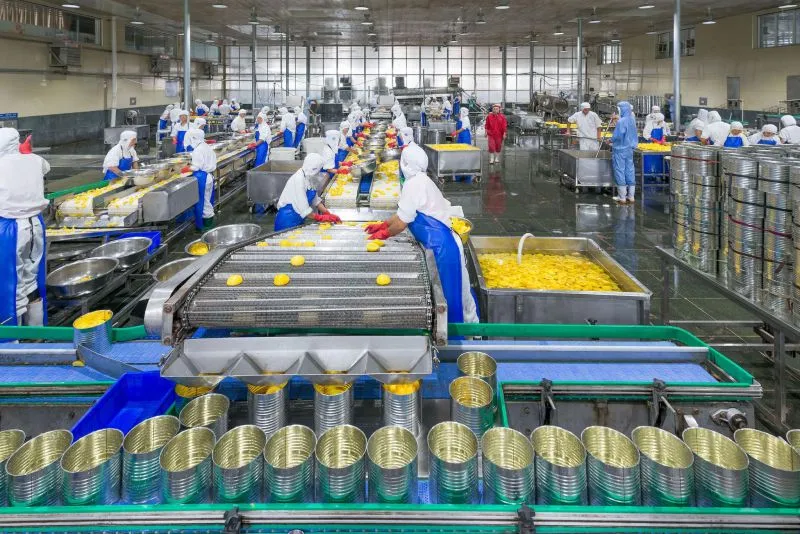Standard Canned Baby Corn Process Line /produce Machines/plants2