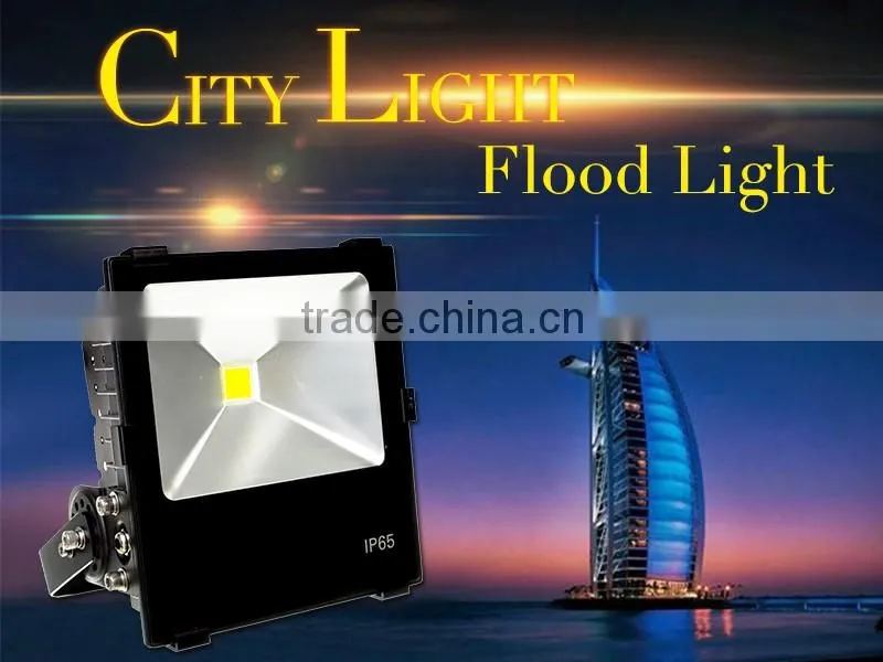 LED Flood light SMD 30W IP65 outdoor Waterproof CE ROHS FCC
