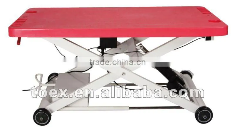 Mobile Dog Table Electric Lifting Pet Grooming Table FT-807