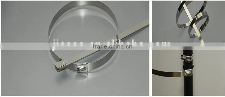 Epoxy Coated Stainless Steel Cable Tie