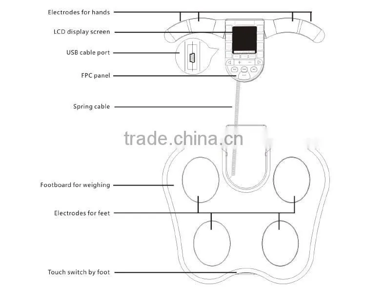 hotsale personal home use body composition analyze equipment