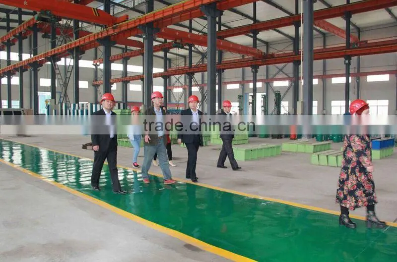 electric windlass made in china
