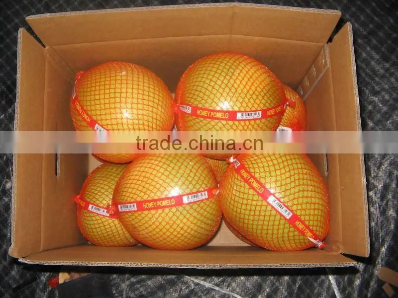 New Crop Grade A fresh sweet green pomelo price