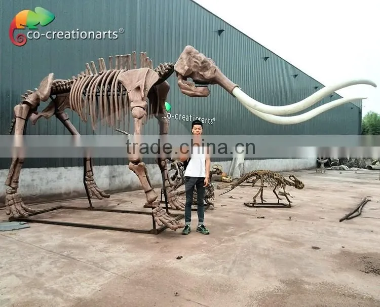 Fiberglass animal skeleton model of Mammoth