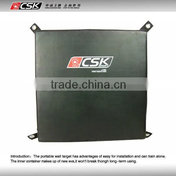 Wall Target /Kick Boxing Target