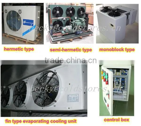 standard size walk in freezer room temp.-18degree C for meat storage