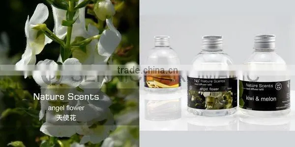 NS Nature Scents 160ml reed diffuser refill (aroma diffuser)