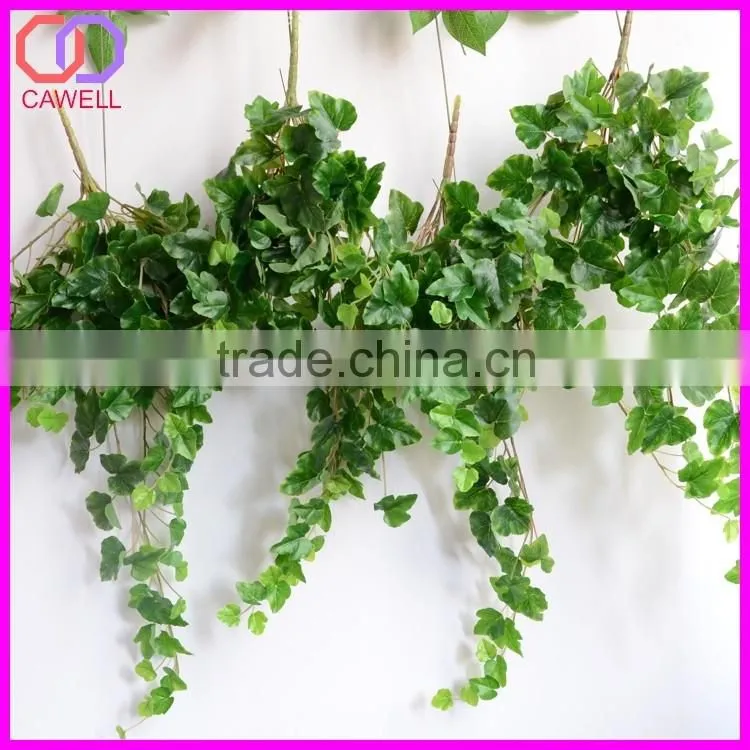 important of ornamental plant