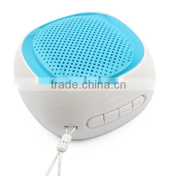 professional speaker,bluetooth professional wireless speaker