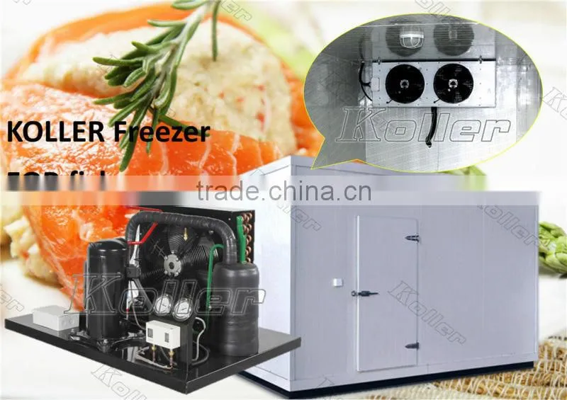 walk in Koller freezer cold room for fishery