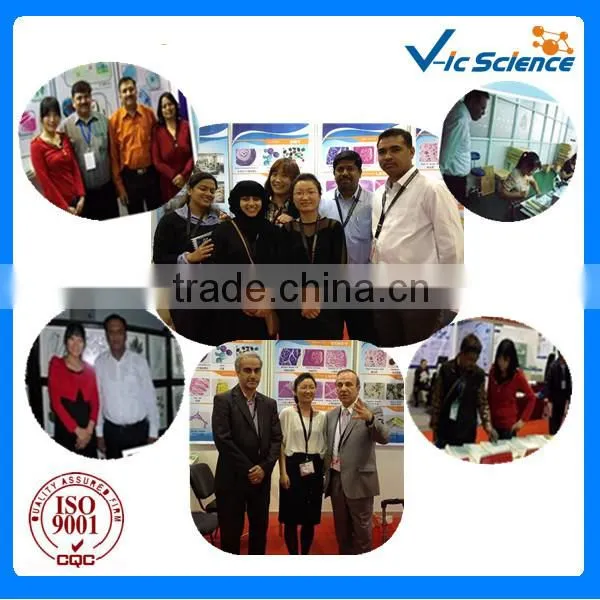 Intelligent control semi automatic laboratory tissue microtome