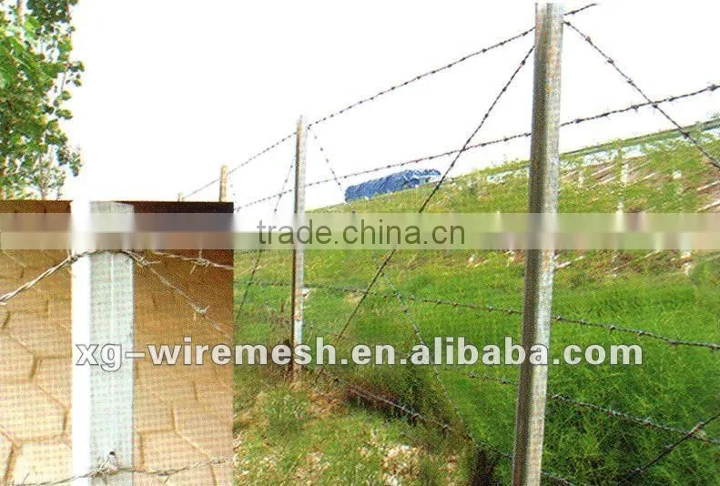 (Manufacturer) Plastic Barbed Wire