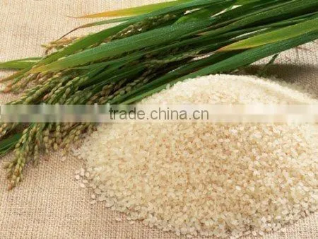 low price artifical rice making machine machinery processing line