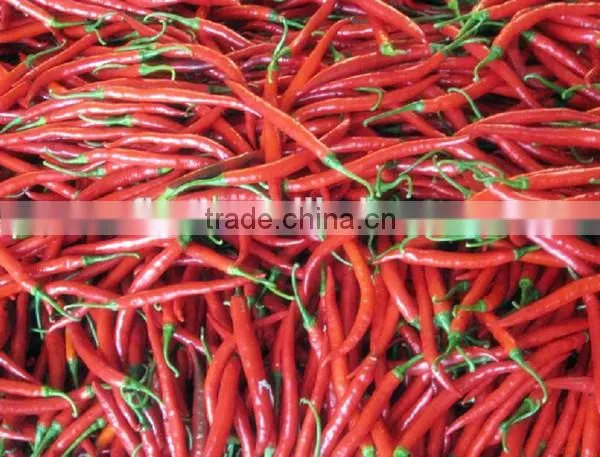 chili pepper grinding machine, Jennifer, u-first