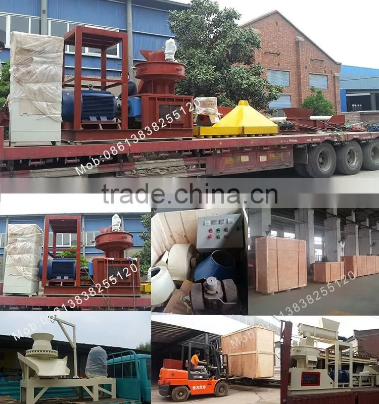 China Supplier munch straw rice husk pellet mill